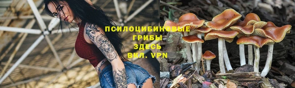 jwh Алексеевка