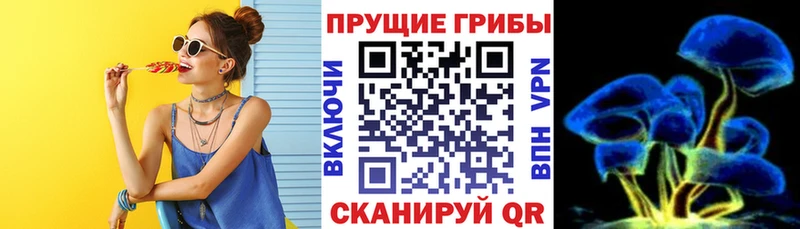 OMG ссылка  Волоколамск  Галлюциногенные грибы Psilocybe 